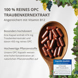 OPC Traubenkernextrakt