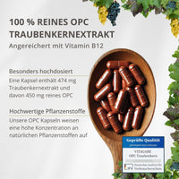 OPC Traubenkernextrakt