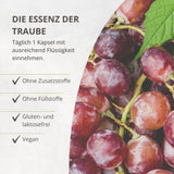 OPC Traubenkernextrakt