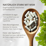 MSM 1.000 mg