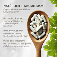 MSM 1.000 mg