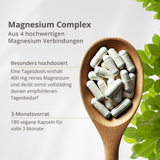 Magnesium Complex 400mg – 4 in 1 Formel