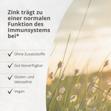 Zink Bisglycinat 25 mg – 365 Kapseln (Jahresvorrat)