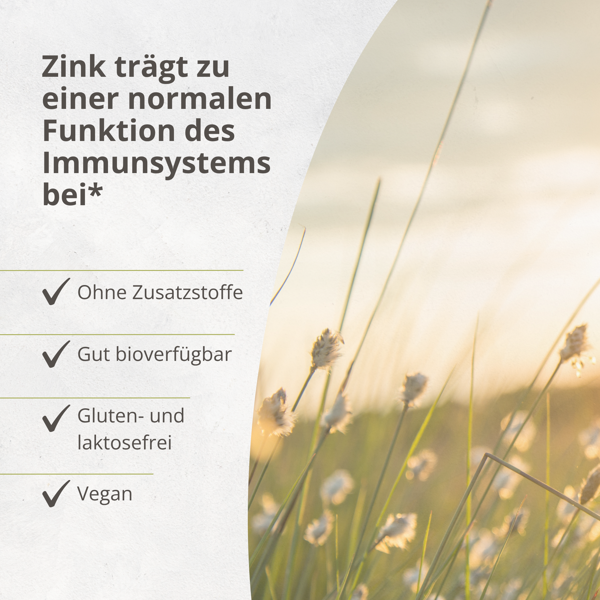 Zink Bisglycinat 25 mg – 365 Kapseln (Jahresvorrat)
