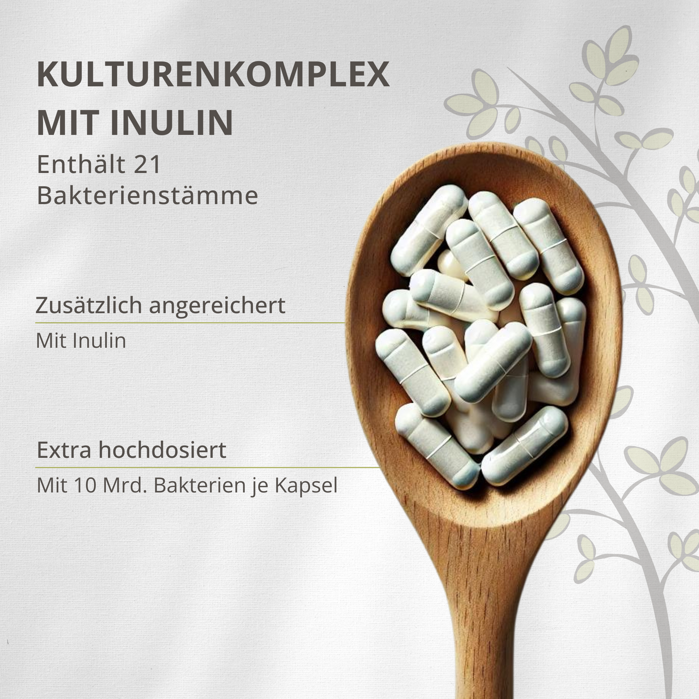Darmflora 21+ – Kulturenkomplex aus 21 Bakterienstämmen