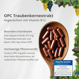 OPC Traubenkernextrakt – Antioxidativer Zellschutz