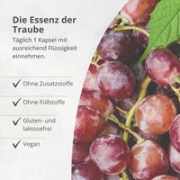 OPC Traubenkernextrakt – Antioxidativer Zellschutz