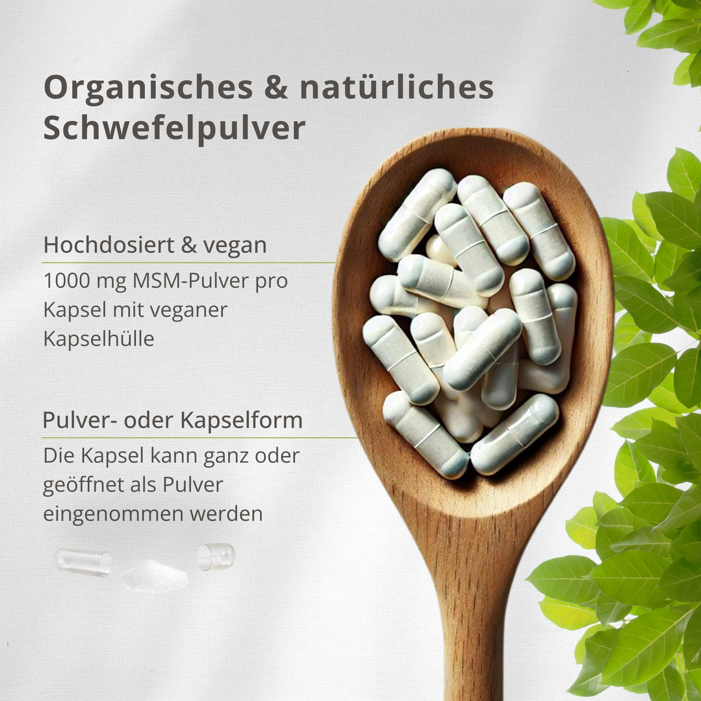 MSM 1.000 mg – Reine organische Schwefelverbindung