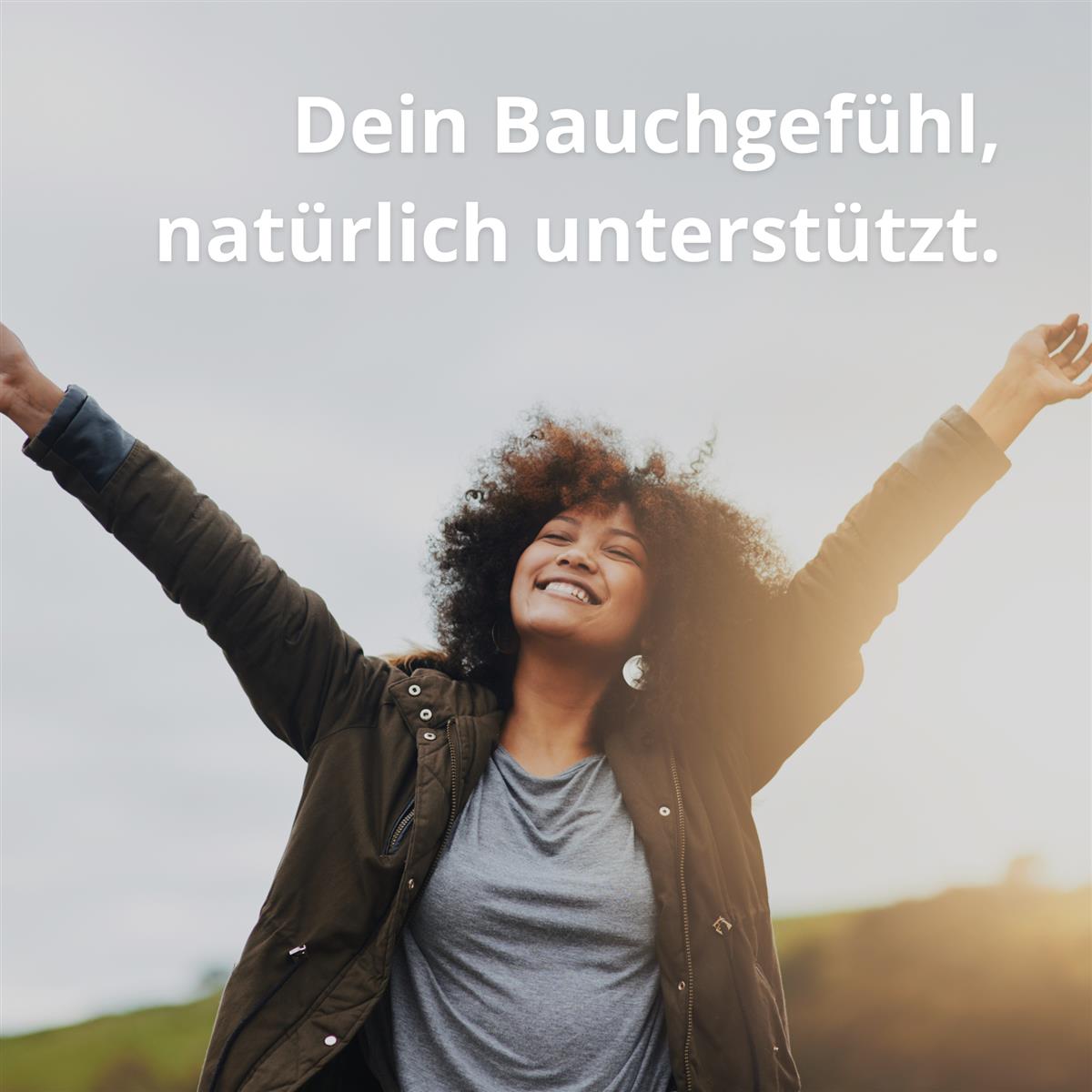 Mumijo Shilajit – Traditionelles Naturharz aus dem Himalaya