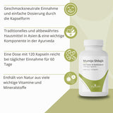 Mumijo Shilajit – Traditionelles Naturharz aus dem Himalaya