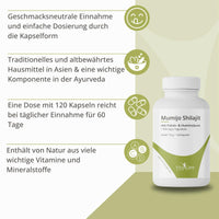 Mumijo Shilajit – Traditionelles Naturharz aus dem Himalaya