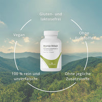 Mumijo Shilajit – Traditionelles Naturharz aus dem Himalaya