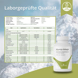 Mumijo Shilajit – Traditionelles Naturharz aus dem Himalaya