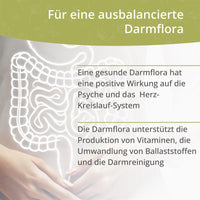 Darmflora 21+ – Komplex aus 21 Bakterienstämmen