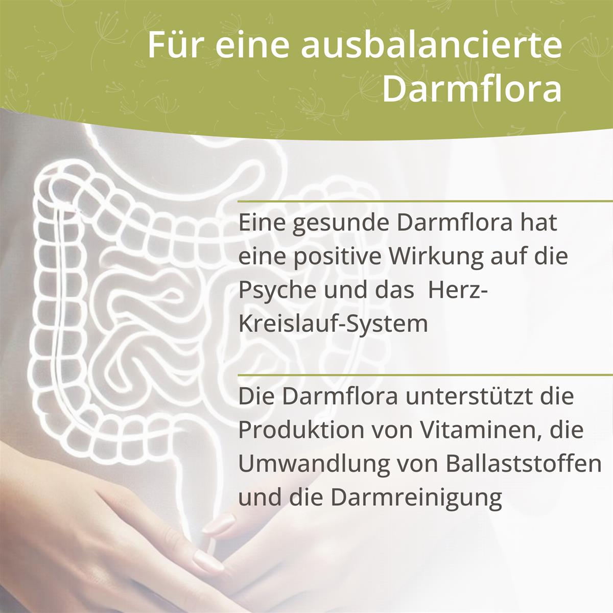 Darmflora 21+ – Komplex aus 21 Bakterienstämmen